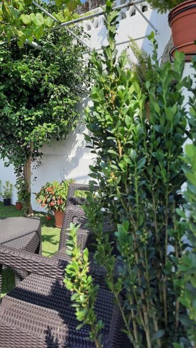 Вилла La Casita Санхенхо Экстерьер фото